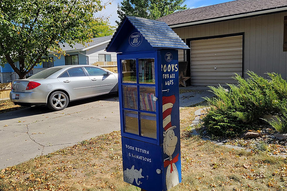 Little Free Libraries are Popping up All Around Twin Falls
