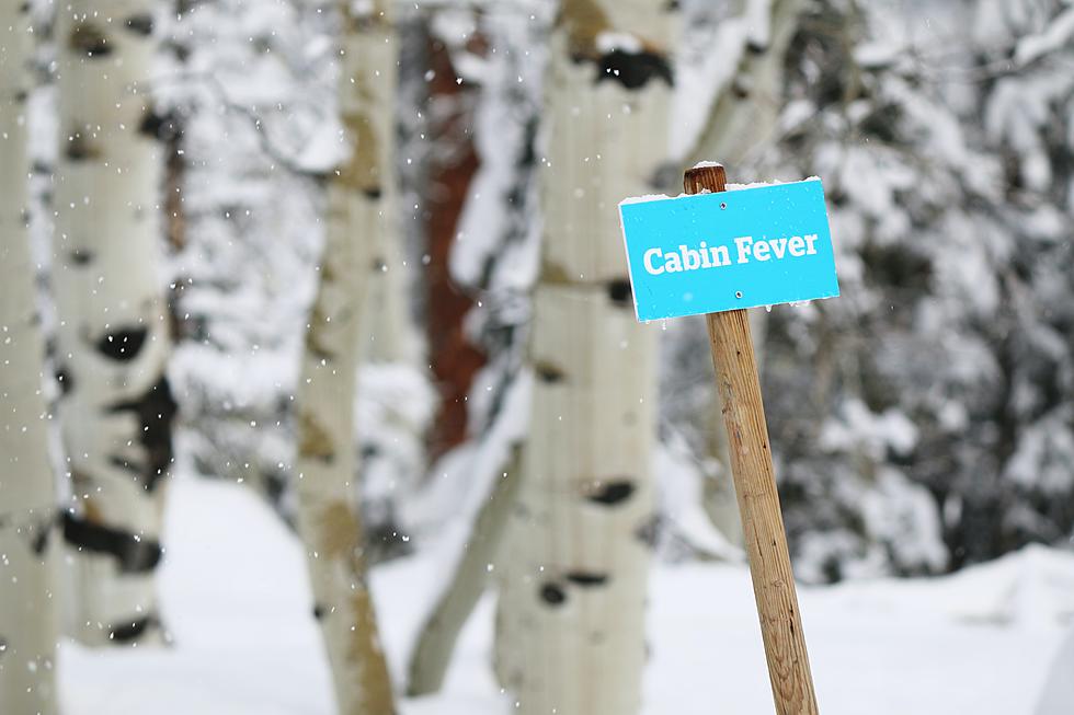 The 2022 Twin Falls Cabin Fever Day Activities and Locations