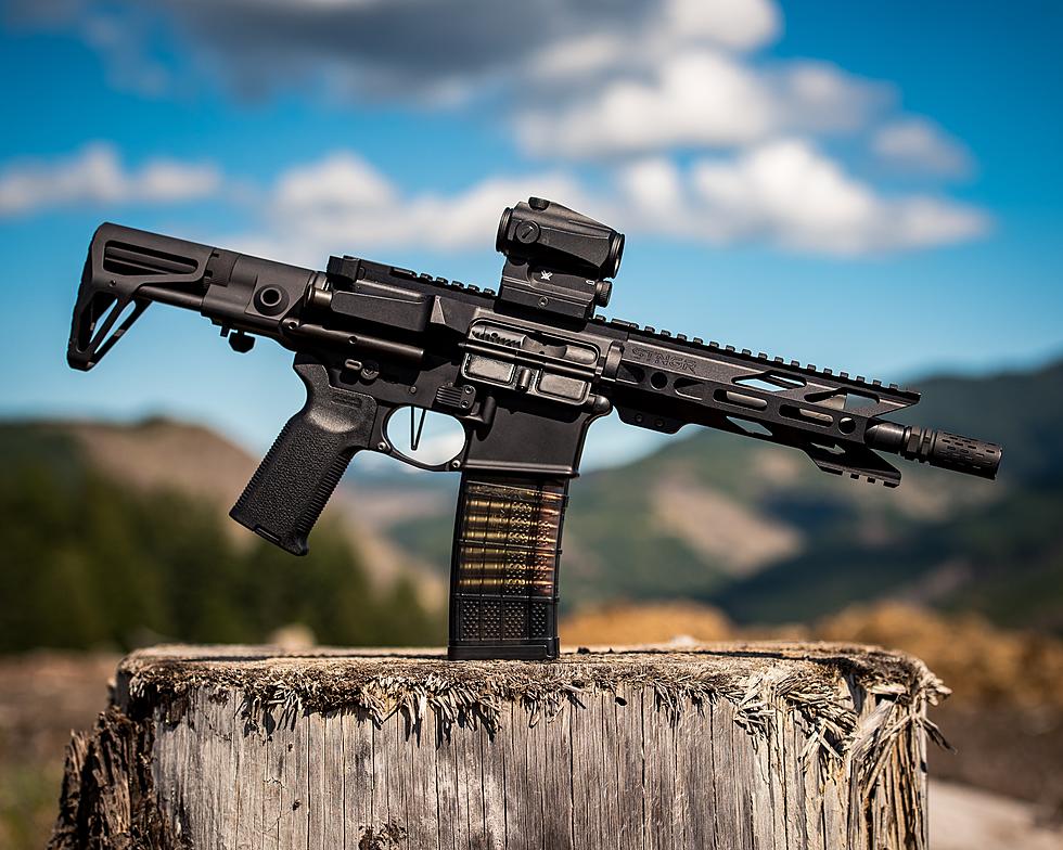 Should Idaho Ban High Capacity Firearm Magazines Like Washington Did?