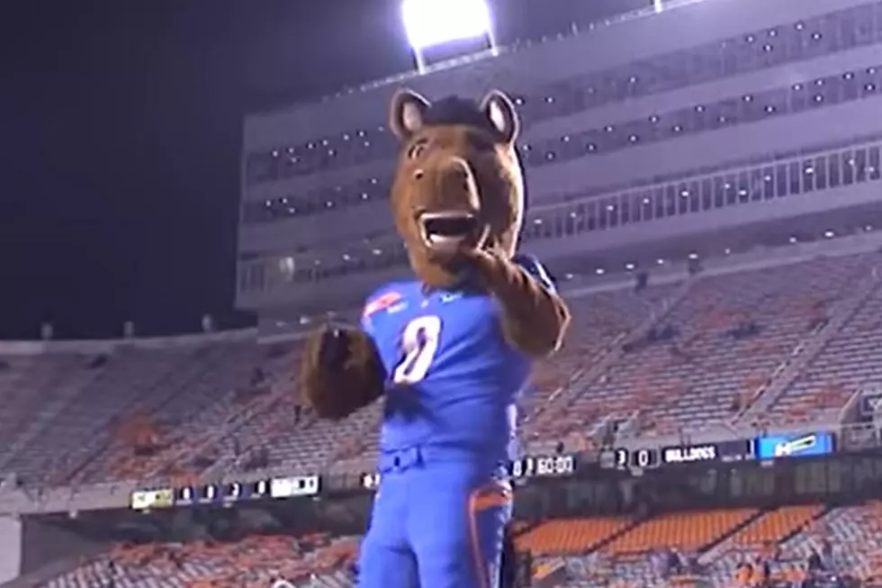 Secret Identity of BSU Bronco Mascot Revealed