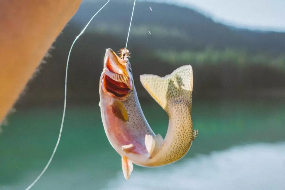 Magic Valley Lakes and Rivers Stocked With Fish