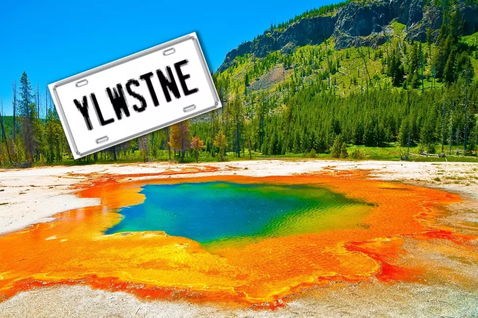 Why Yellowstone Might Deny You Access Now Based on your License Plate