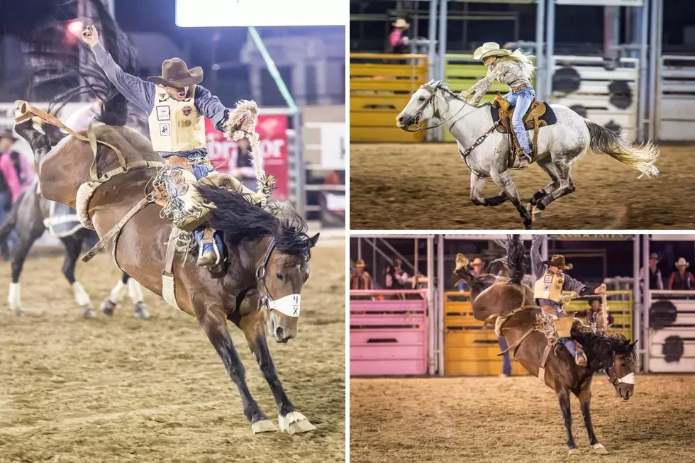 Twin Falls County Fair