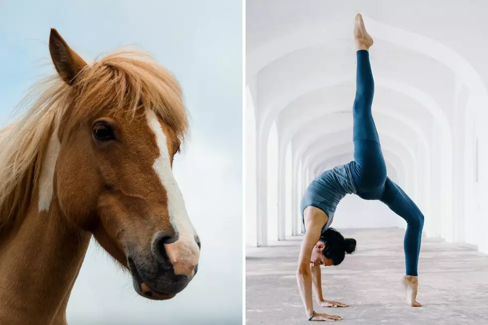 Check Out This Awesome Horse Yoga Experience North of Twin Falls