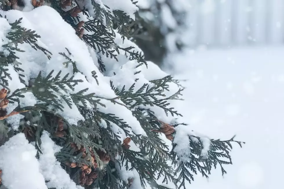 What are the Chances Twin Falls Will Have a White Christmas in 2022?