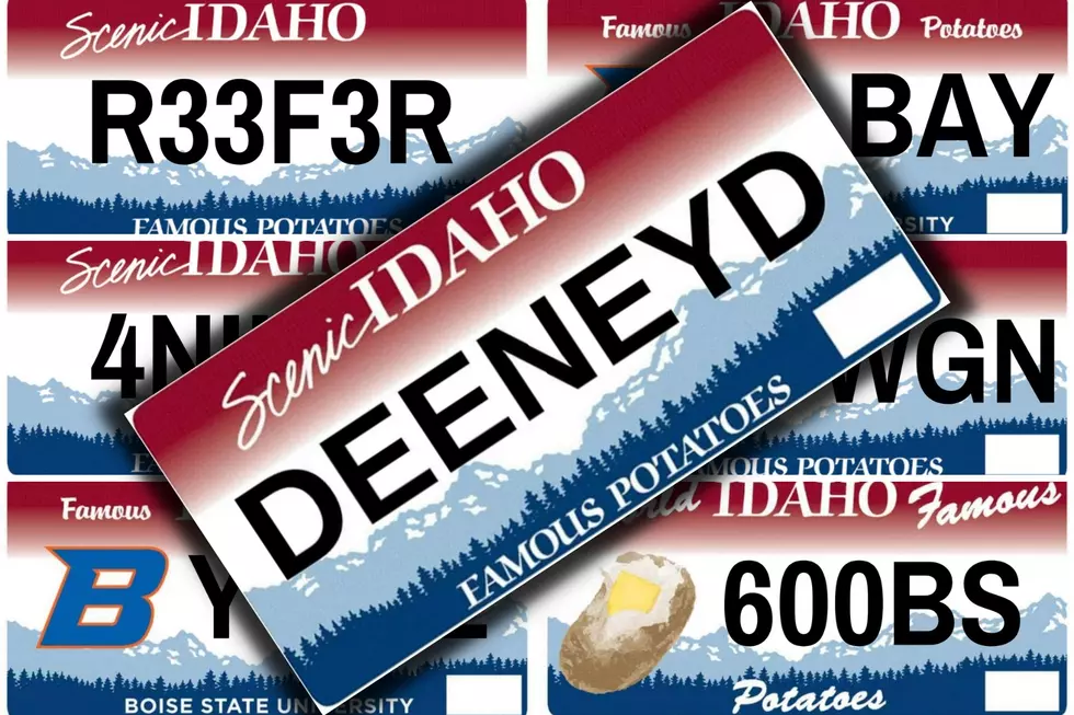 Most Controversial Idaho License Plate Rejections Last Year