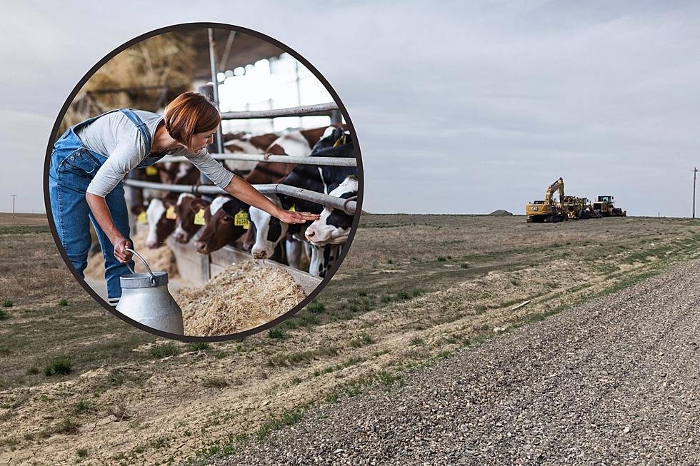 Southern Idaho College Will Soon Be Home To  America’s Largest Research Dairy