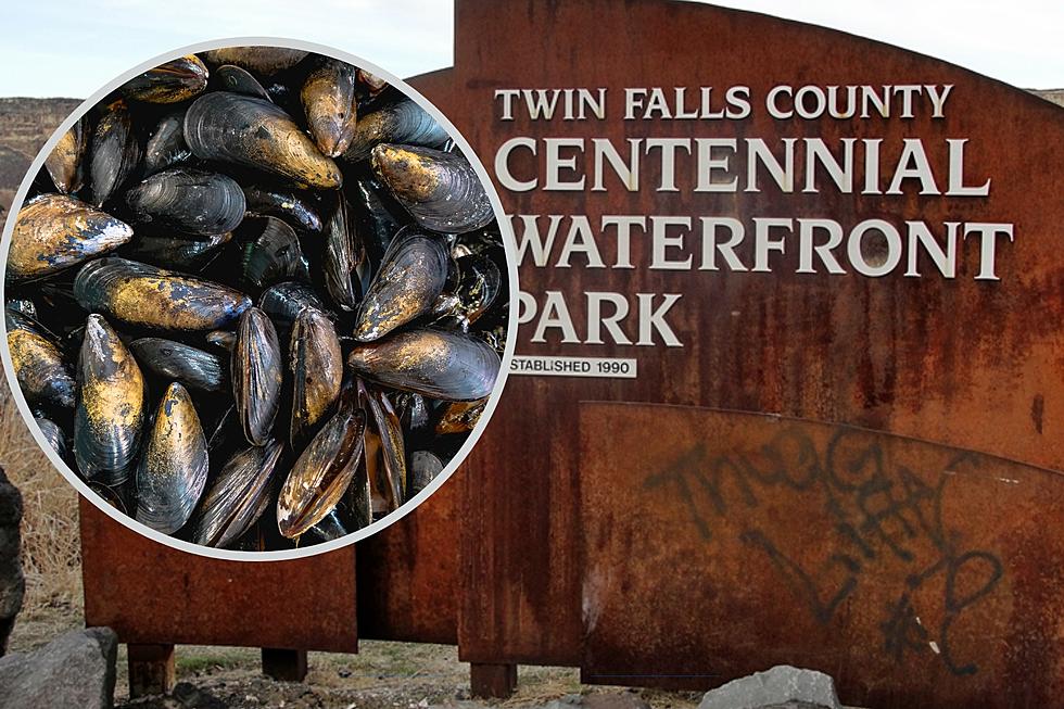 Idaho Governor Closes Centennial Park in Twin Falls