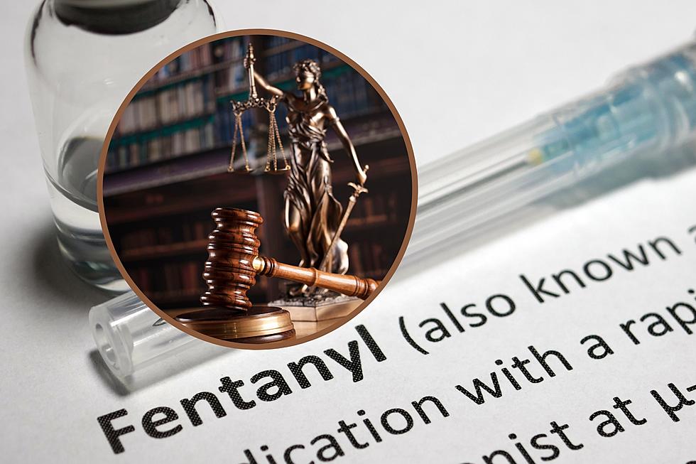 Fentanyl Trafficking: What is the Idaho House Bill 406?