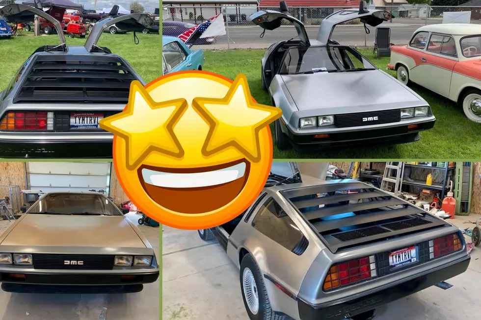 This DeLorean is For Sale in Southern Idaho