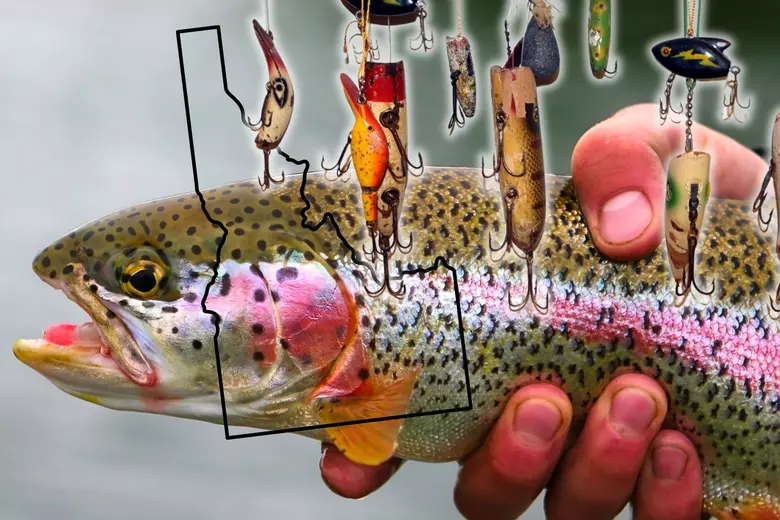 Bait Fishing for Stocked Rainbow Trout