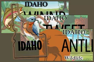Get Paid to Design the Next Themed Idaho License Plate