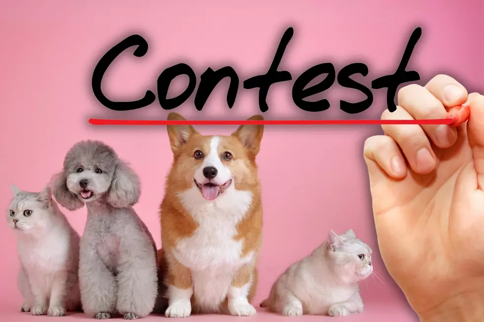 Show Off Your Pets and Win Big With the 2024 Summer Pet Photo Contest
