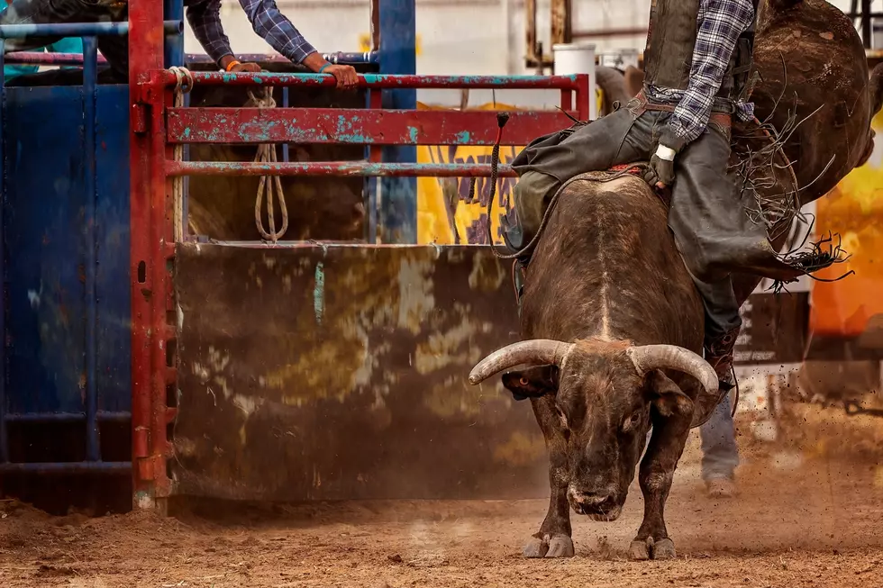 Bull Riding and Live Music This Weekend in Twin Falls, ID