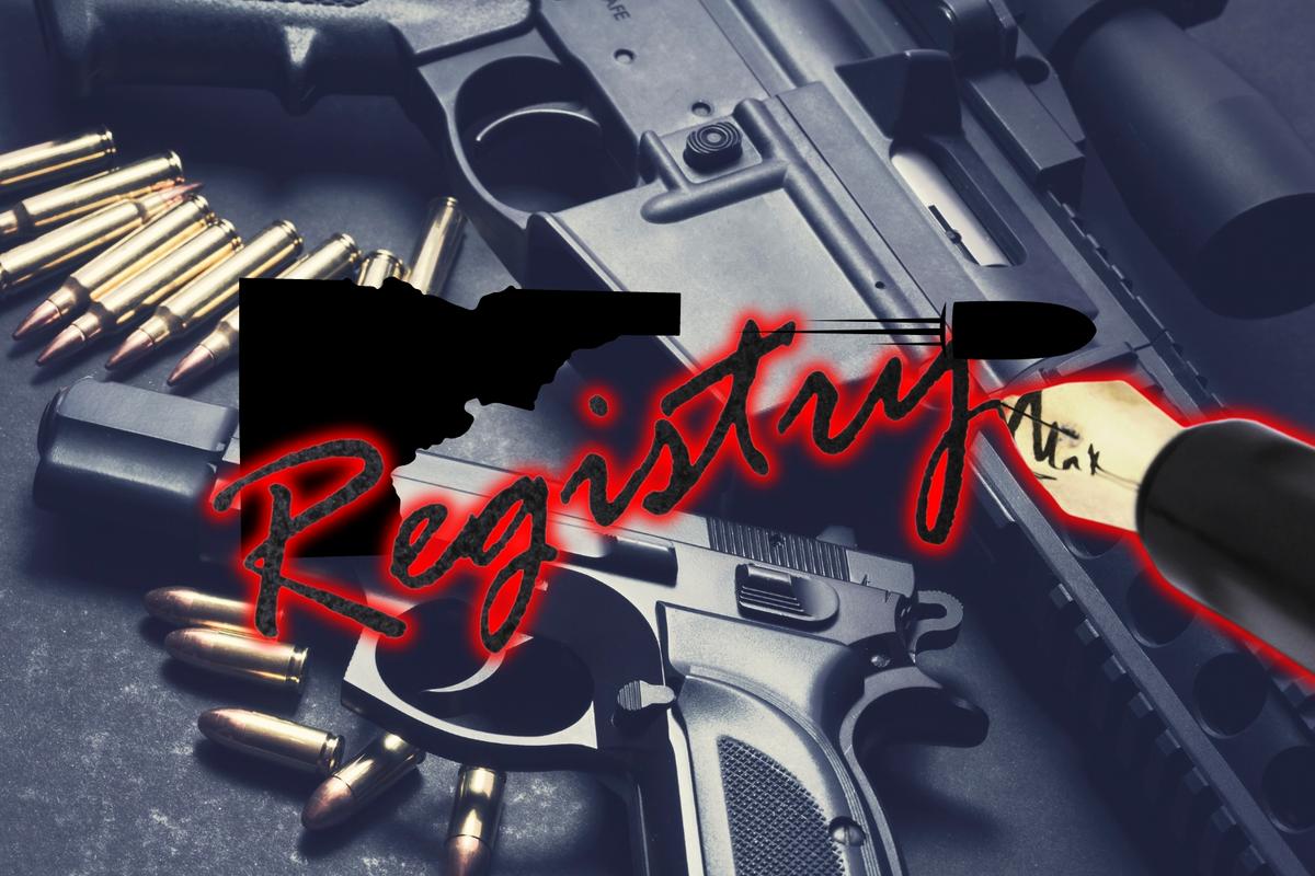 Confusion in Twin Falls, Idaho, over gun registry