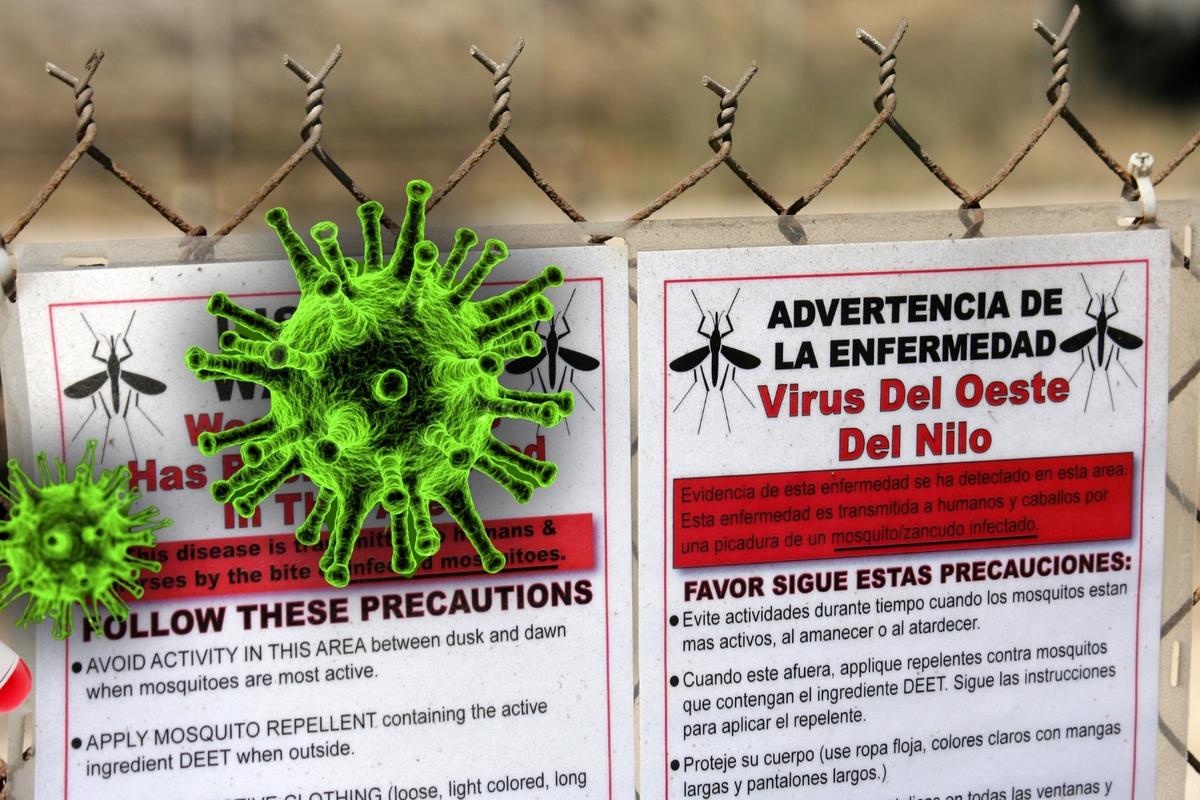 Deadly Global Virus Confirmed in Southern Idaho County