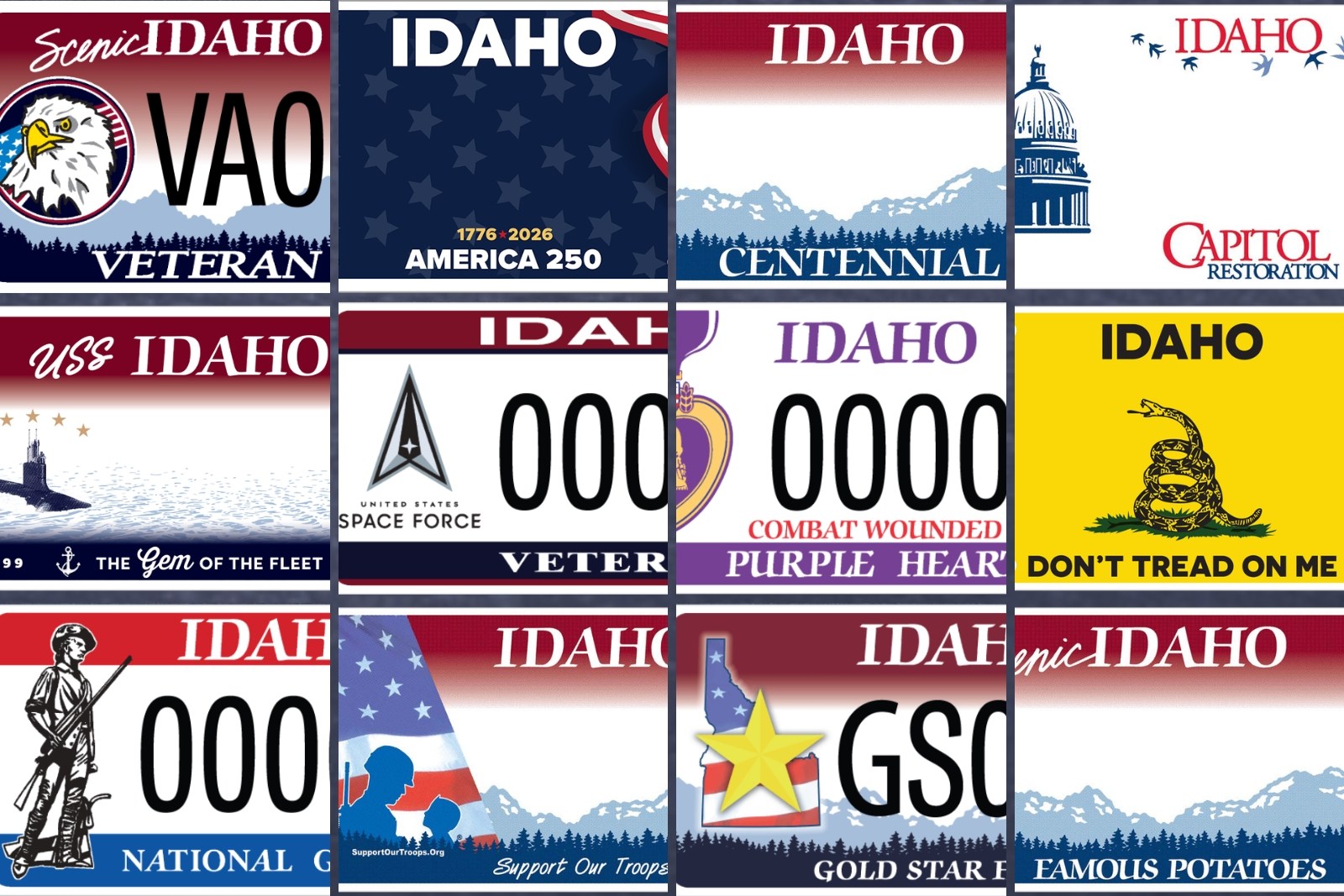 Happy 4th! Which Idaho License Plates Are the Most Patriotic?