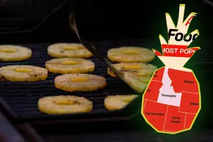 Pineapple Listed as the Top Grilling Food in Idaho, Based on Data Trends