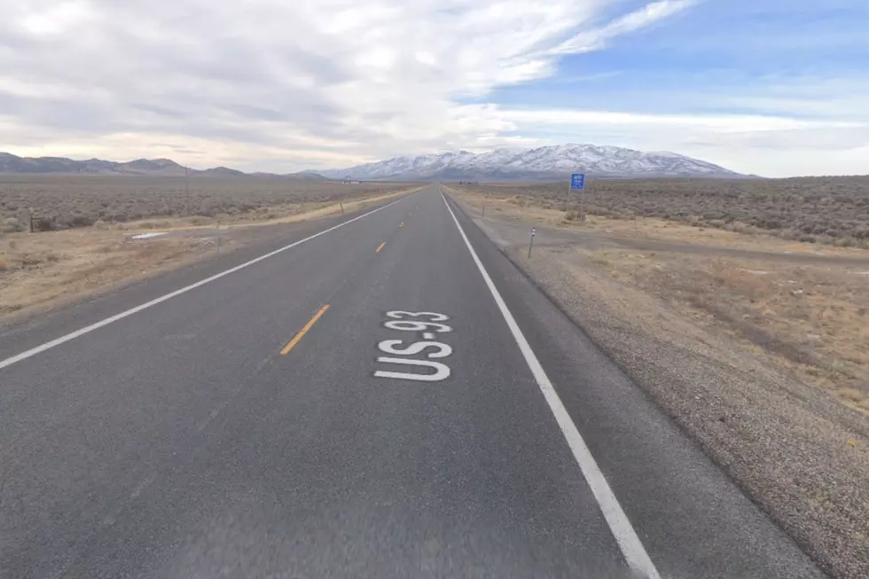 Eight People Involved in Deadly Head-On Nevada Crash