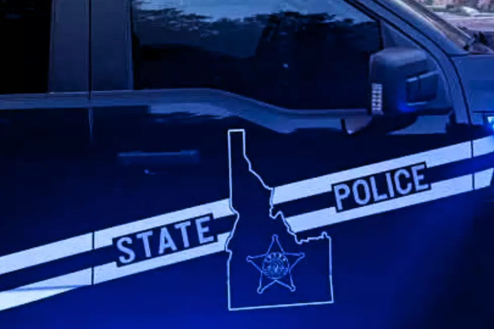 Juvenile Killed in Head-On Collision on Idaho Highway