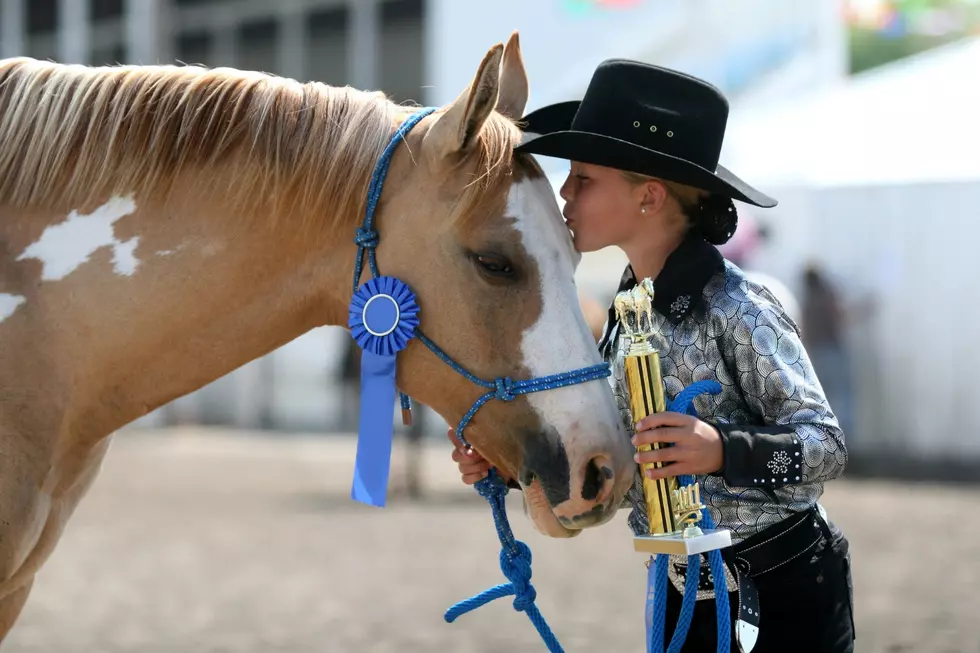The Best Free Shows at the 2026 Western Idaho Fair