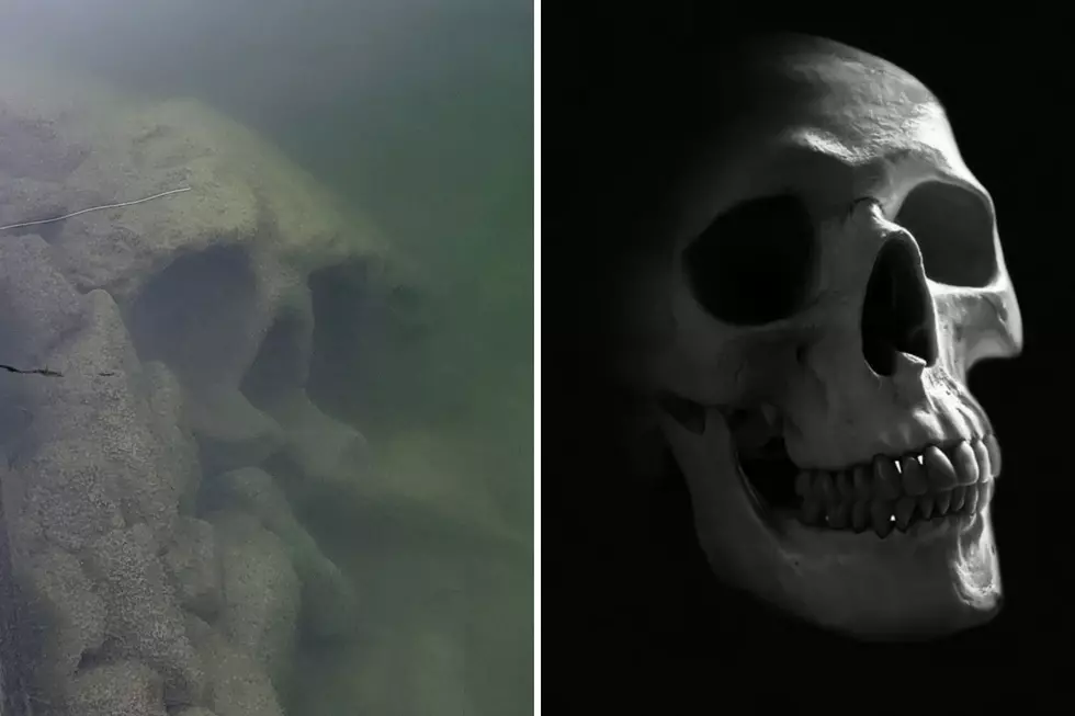 This Rock in Dierkes Lake Looks Just Like a Giant Skull