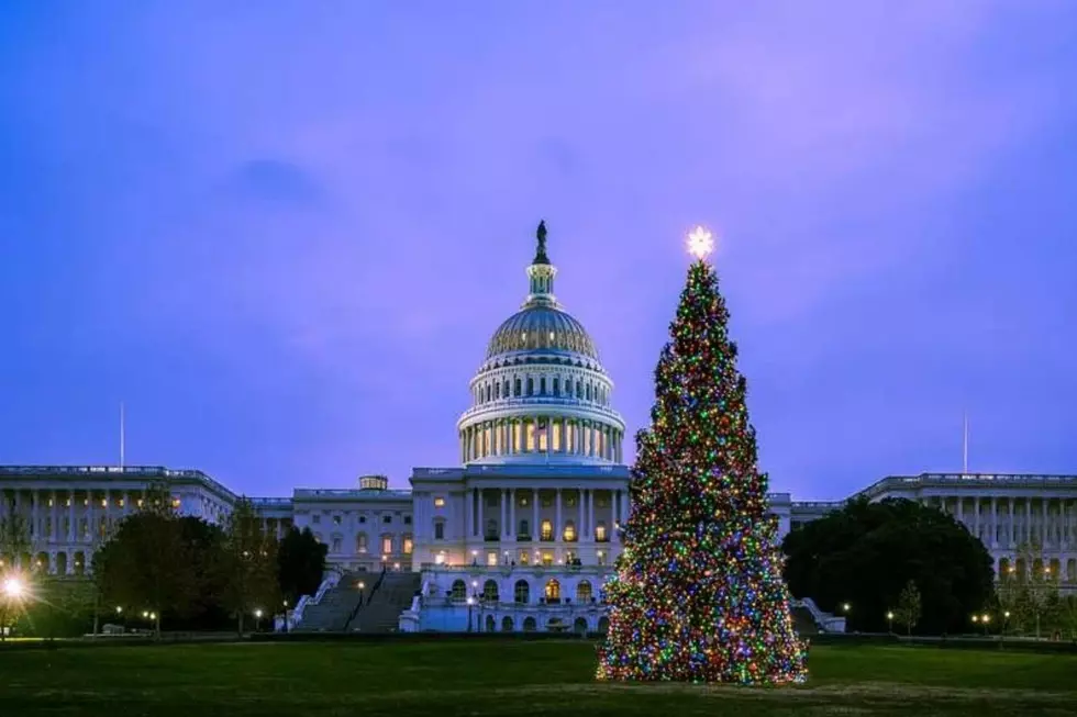 LOOK: The DC Christmas Tree Will Make These Stops in Idaho