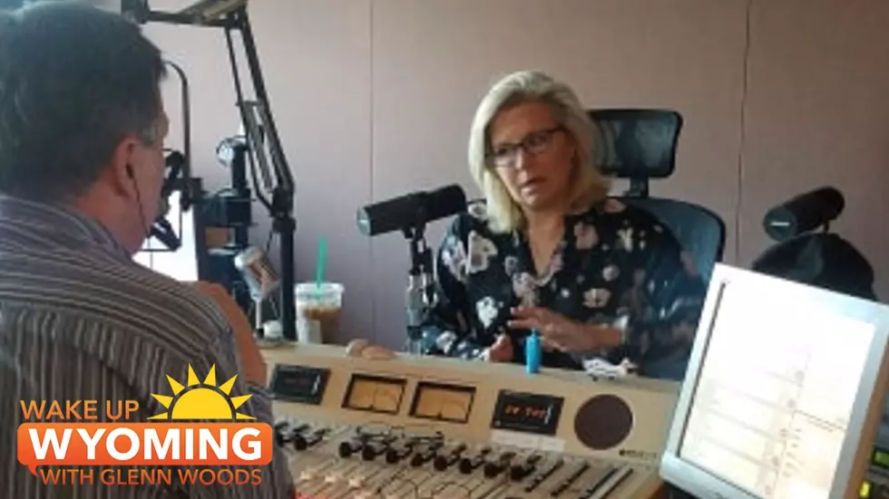 Wyo State Rep Lindholm Blames Cheney For Endless Wars [VIDEO]