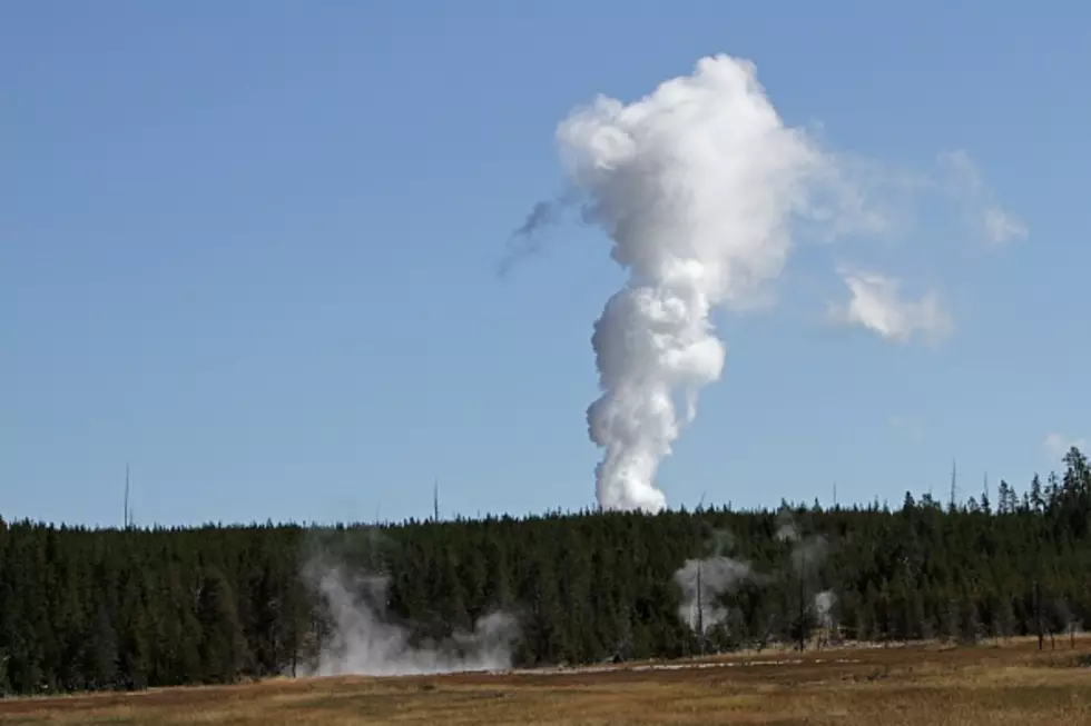 New Thermal Area In Yellowstone