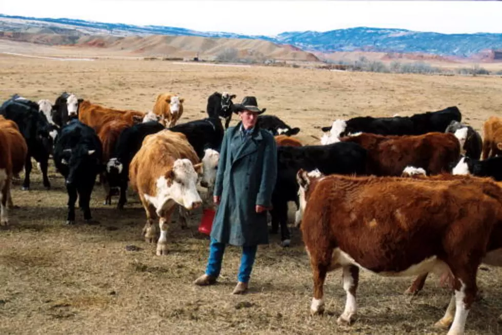 Wyoming Ranchers Vs Environmentalist Court Battle [AUDIO]