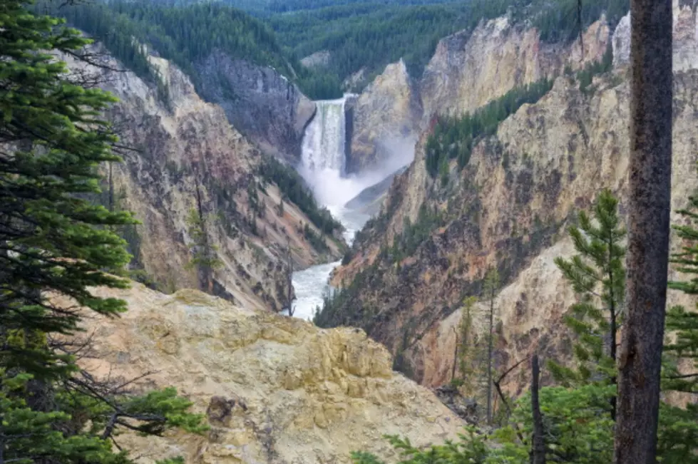 Was Man Rescued In Yellowstone Canyon Seeking Buried Treasure?