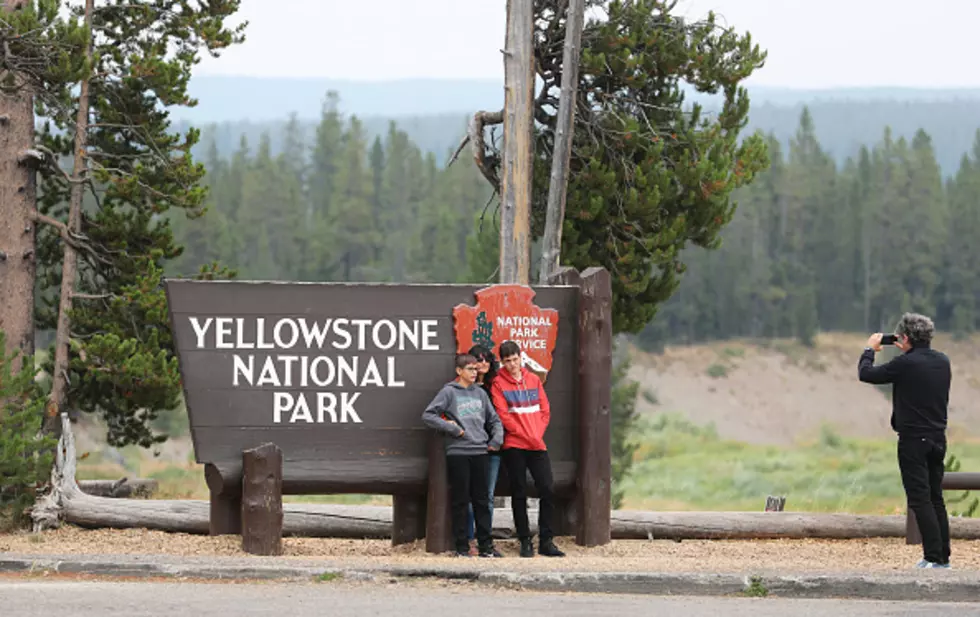 The Yellowstone Tourist IQ Test