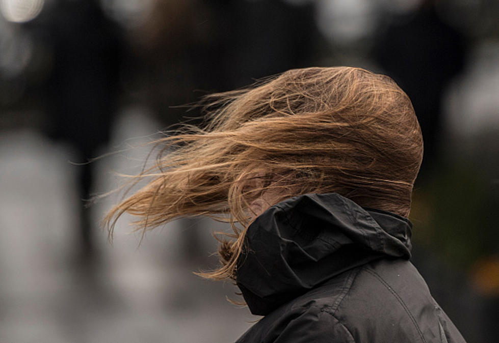 How Windy Is It? (Clever Ways To Tell)