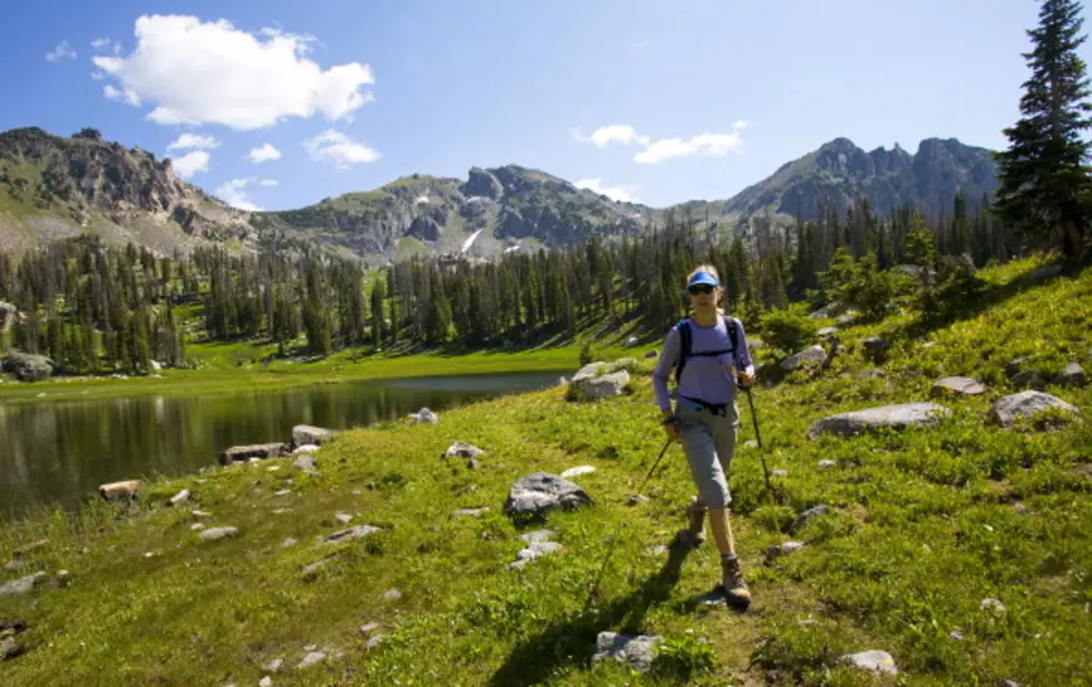 Licence Now Required To Hike Colorado State Wildlife Areas