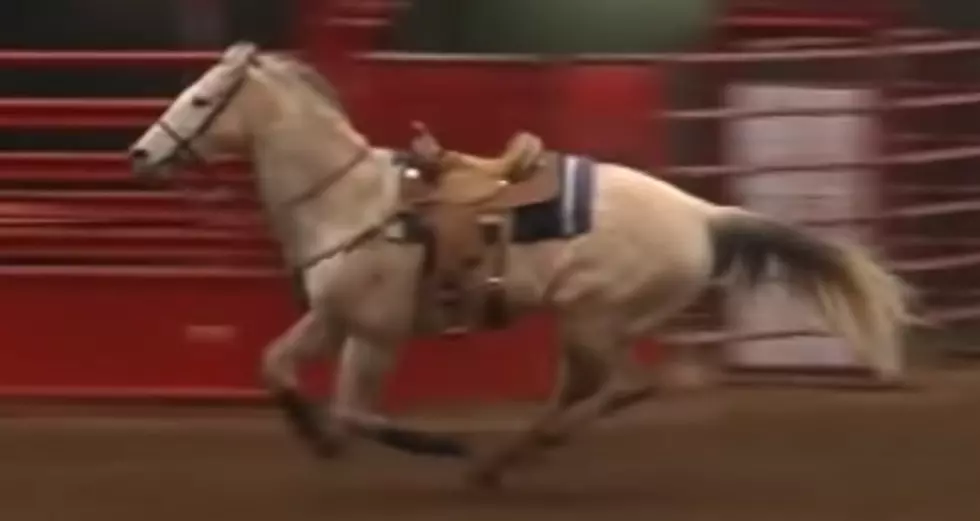 Horse Barrel Races Without Rider