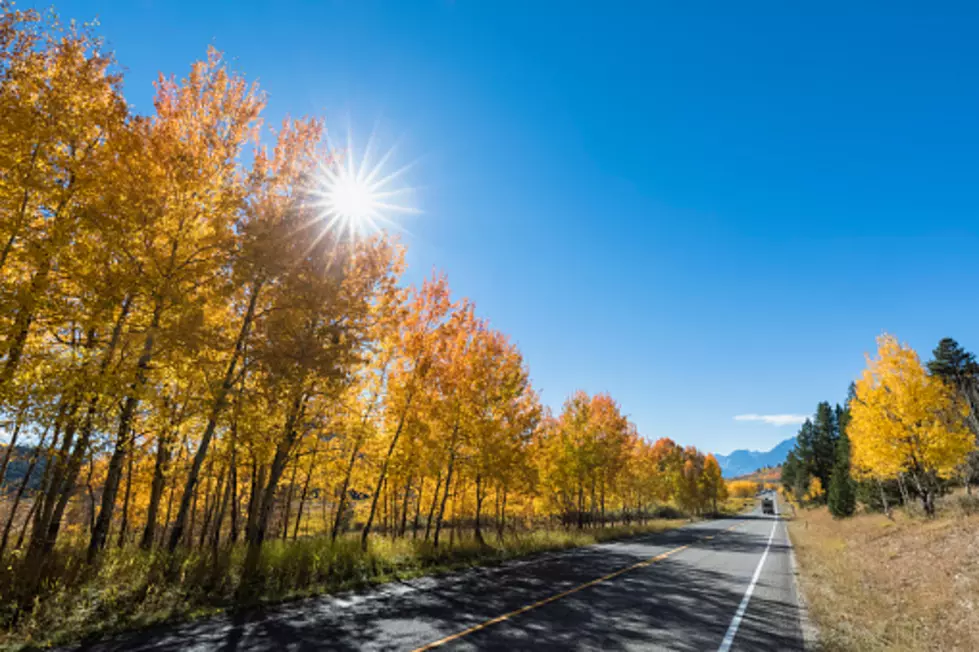 The Wyoming Fall Colors Road Trip Guide