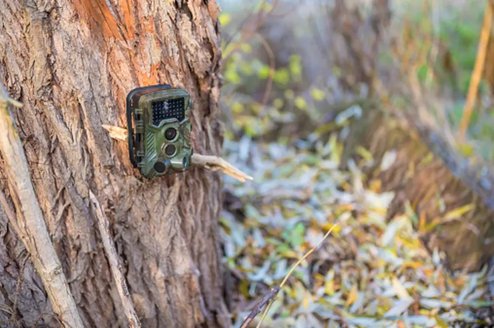 Some Western States Ban Trail Cameras