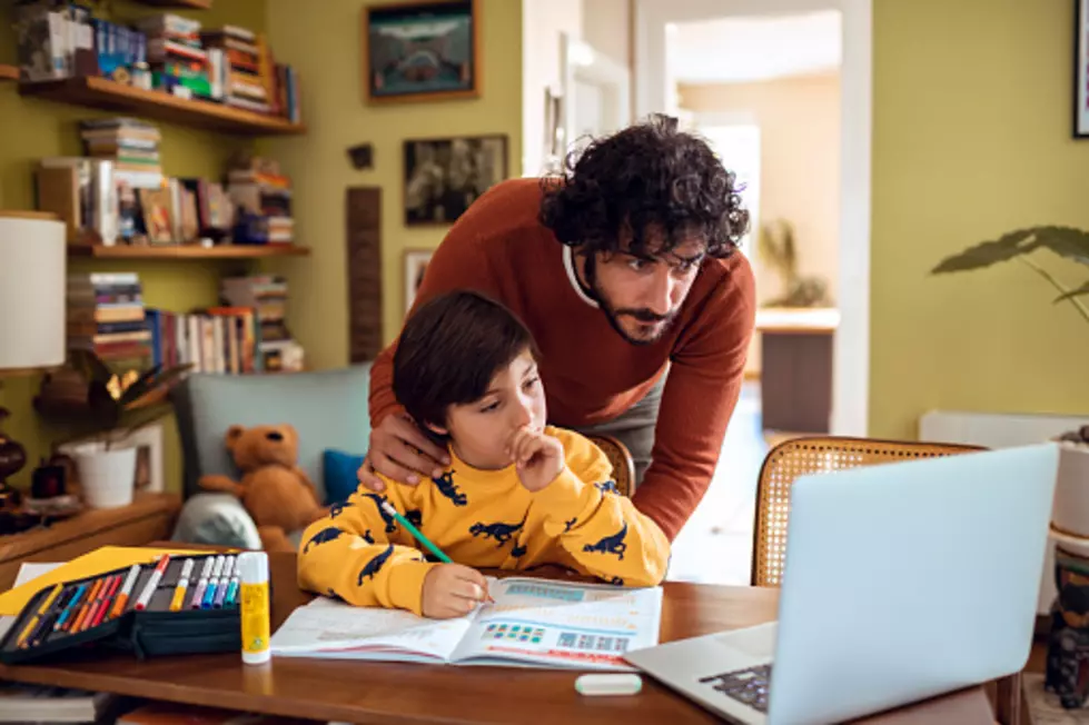 Wyoming Homeschool Websites Helps Parents Transition