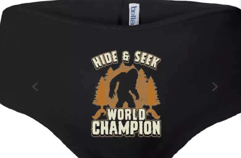 Hide and Seek Champion Men's Boxer Briefs, Funny Bigfoot/sasquatch