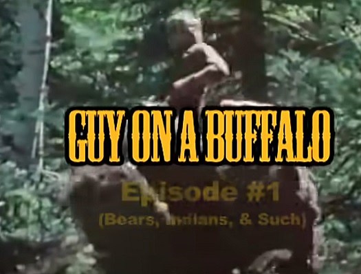 Wyoming Buffalo Ted Rides