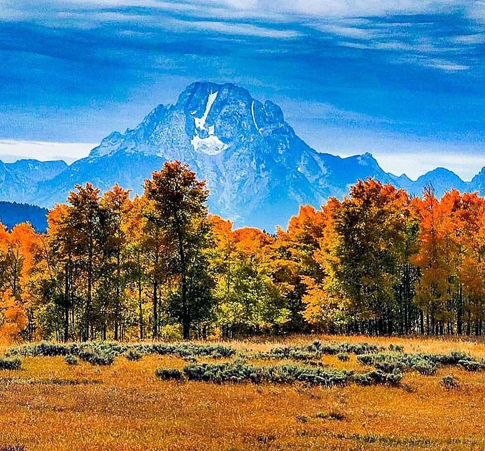 Beautiful Fall Photos From Wyoming Photographers