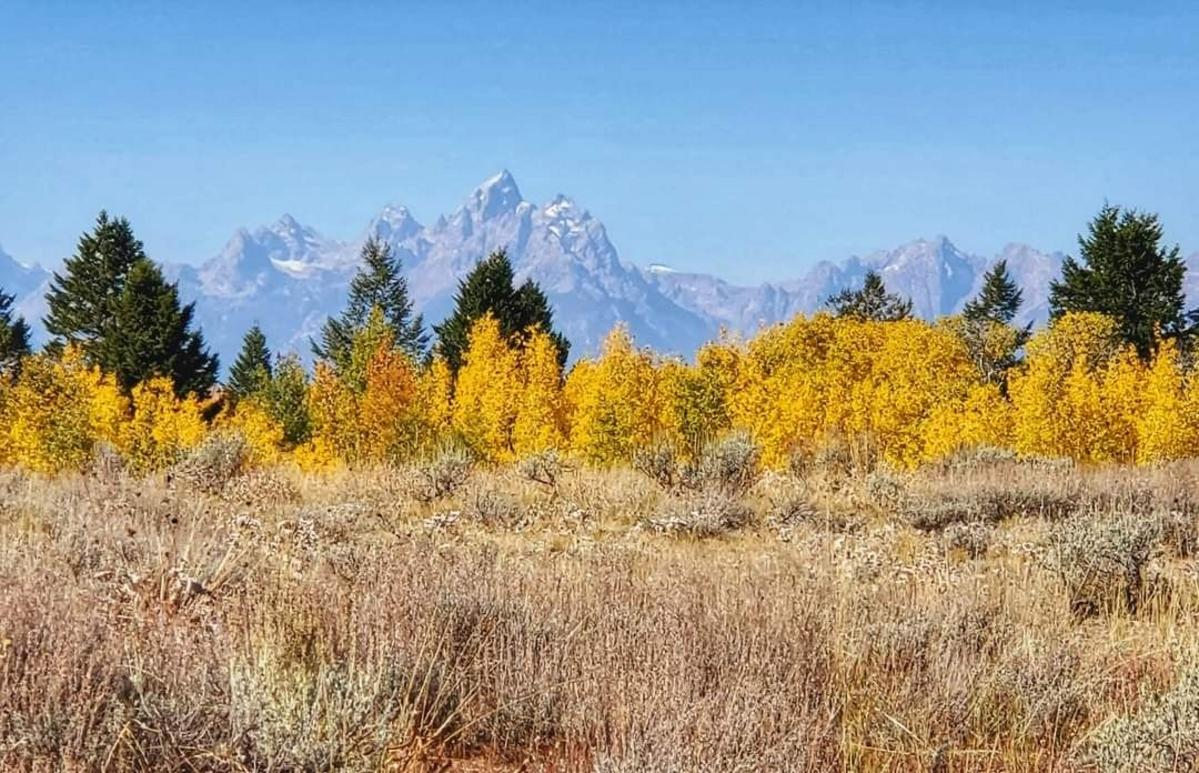 Hints Of Fall Color In Wyoming's High Country