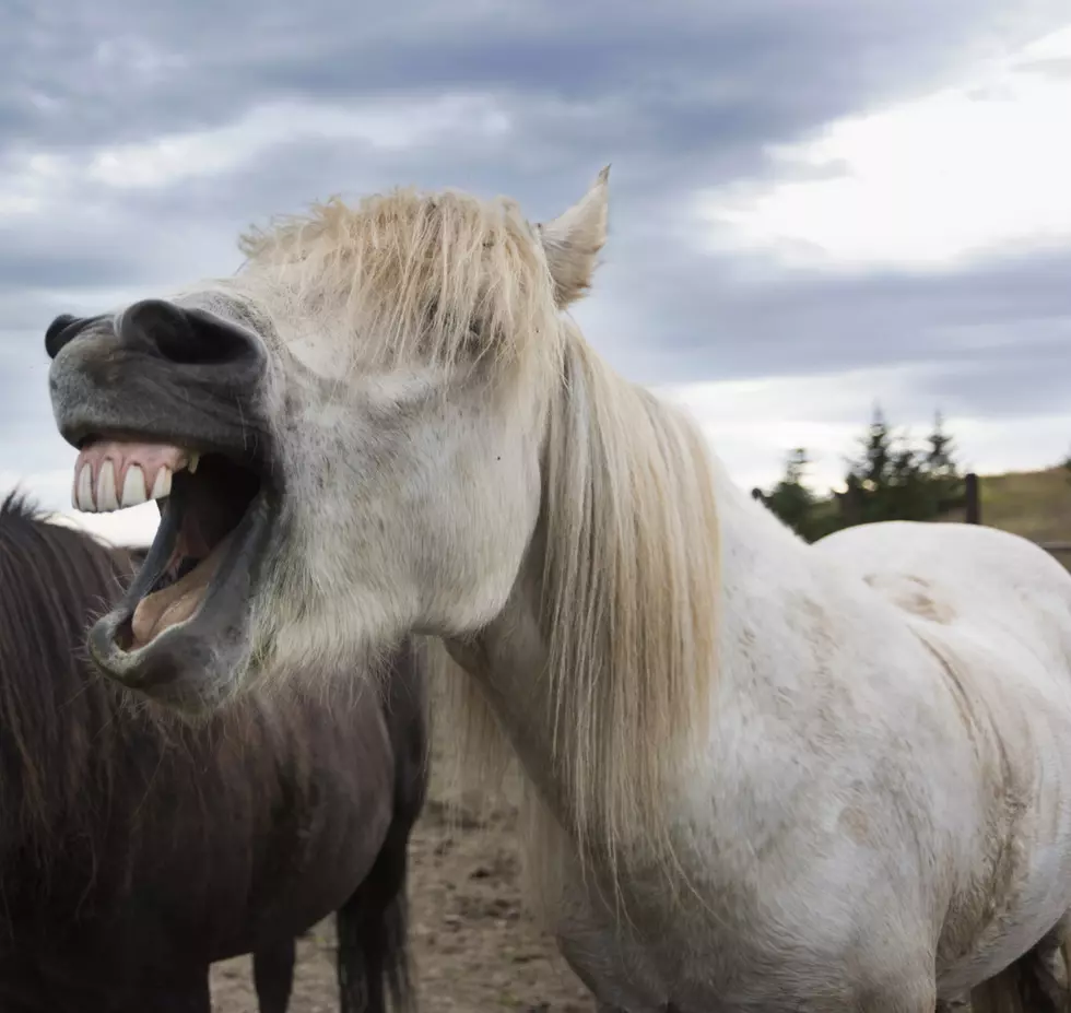 Wyoming Drought Jokes – We Need A Dry Laugh