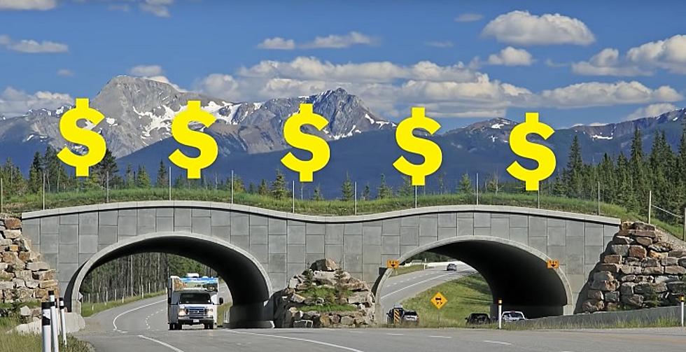 Wyoming To Spend $3.8 Million On Another Wildlife Crossing