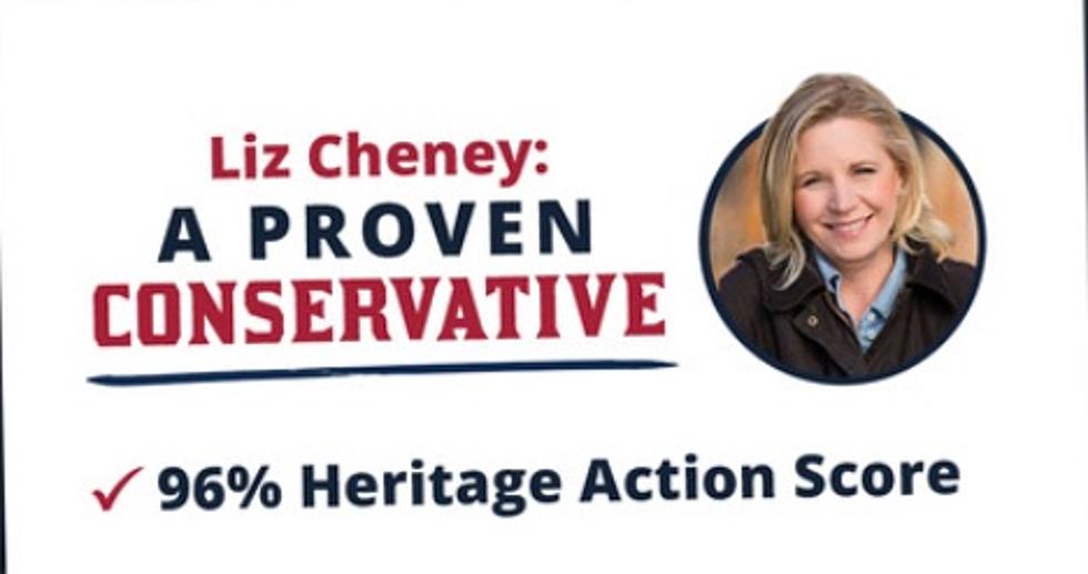 Reactions to Liz Cheney Ad on Social Media