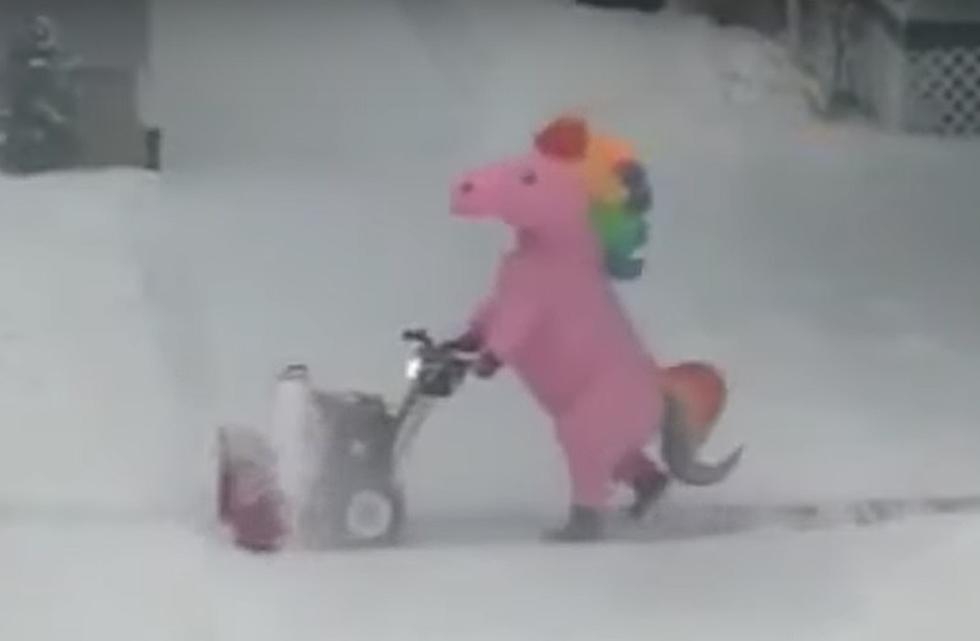 WATCH: The Truth Behind Unicorn Snow Blowers Across America