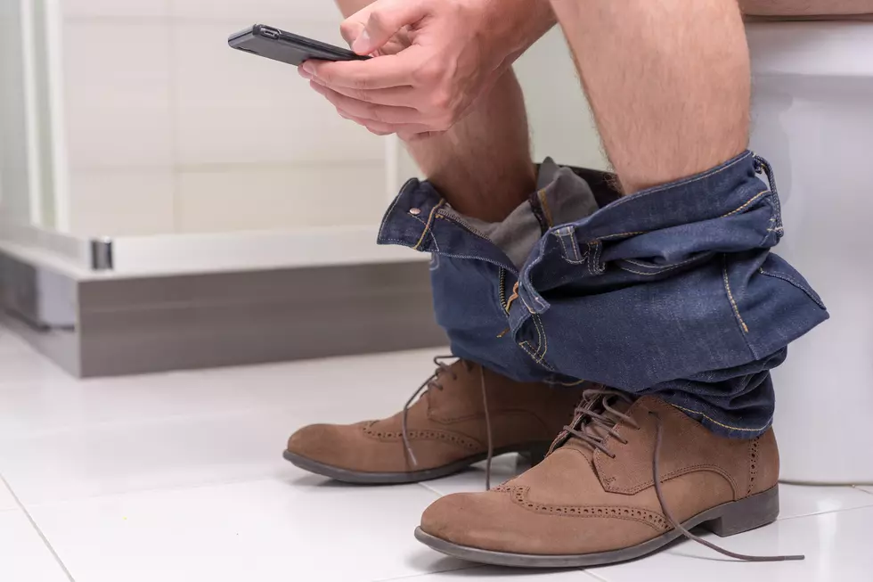 Fossilized Poop Exhibit Coming Soon To A Wyoming Restroom