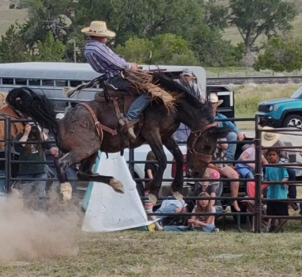 SEE: High Jumping Rodeo Horses Try To Toss Cowboys