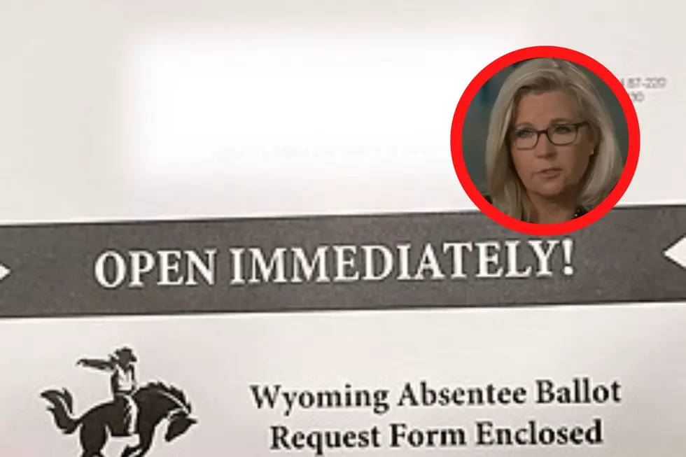 Mysterious Absentee Ballot Request Mailed By Cheney Campaign