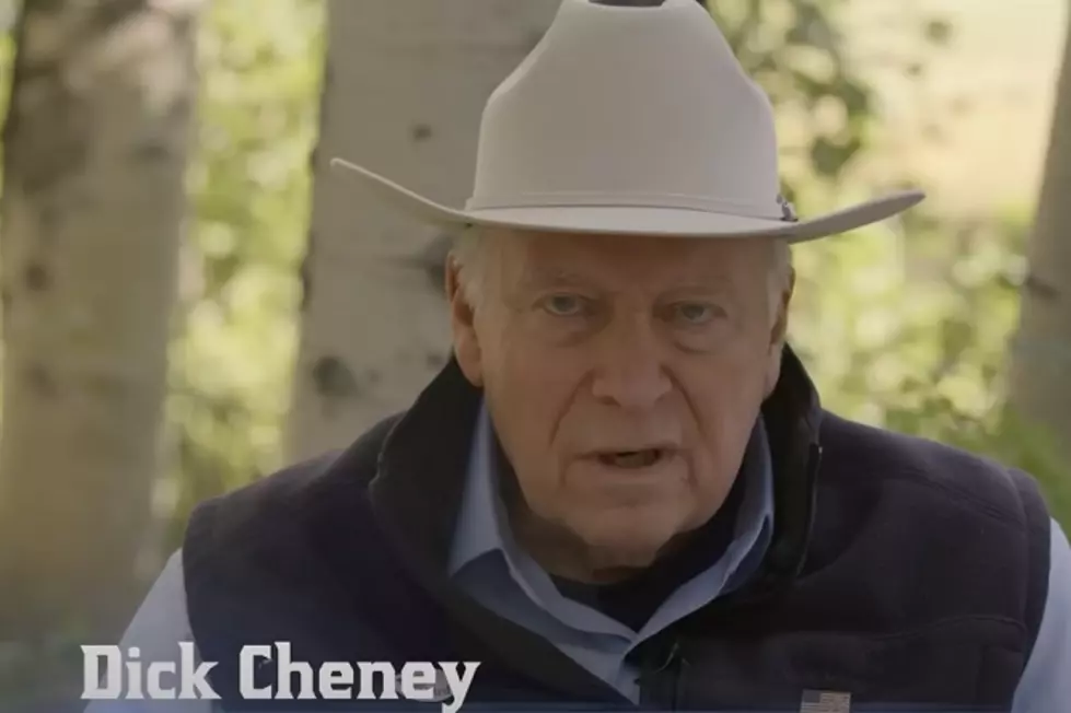 WATCH: Dick Cheney Attacks Trump For His Daughter